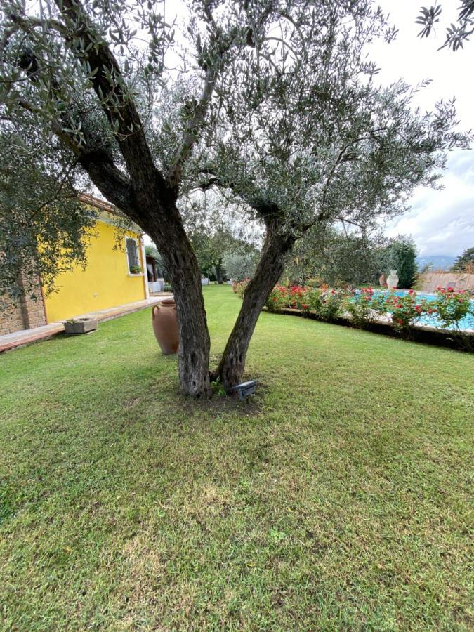 Villa "Casa Al Chiazzullo" 米拉贝拉厄克兰诺 外观 照片